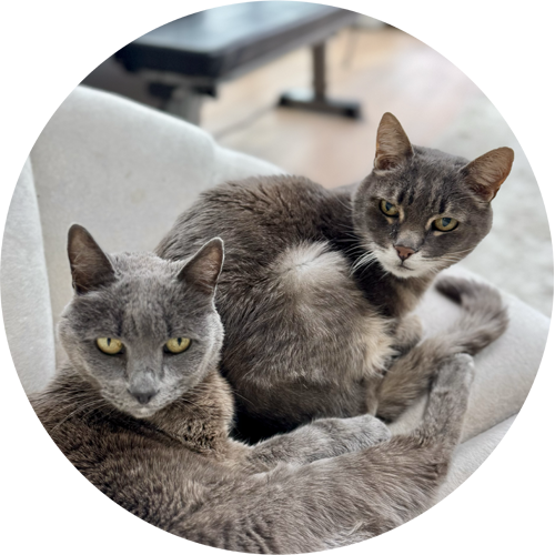 Lancelot & Galahad